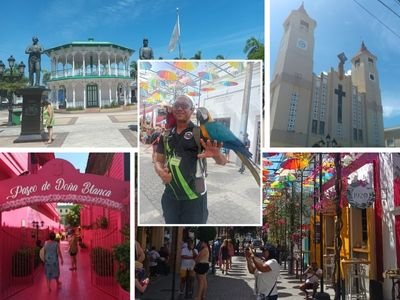 Discover the Best of Puerto Plata: Nature, Monkeys, Butterflies and City Highlights Best Excursions in Puerto Plata